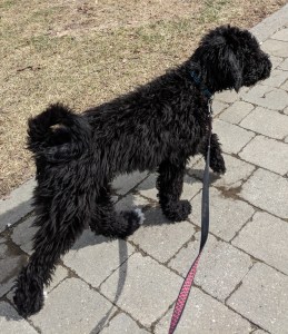 Maker:S,Date:2017-8-25,Ver:6,Lens:Kan03,Act:Lar02,E-Y