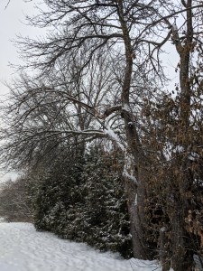 Maker:S,Date:2017-8-25,Ver:6,Lens:Kan03,Act:Lar02,E-ve